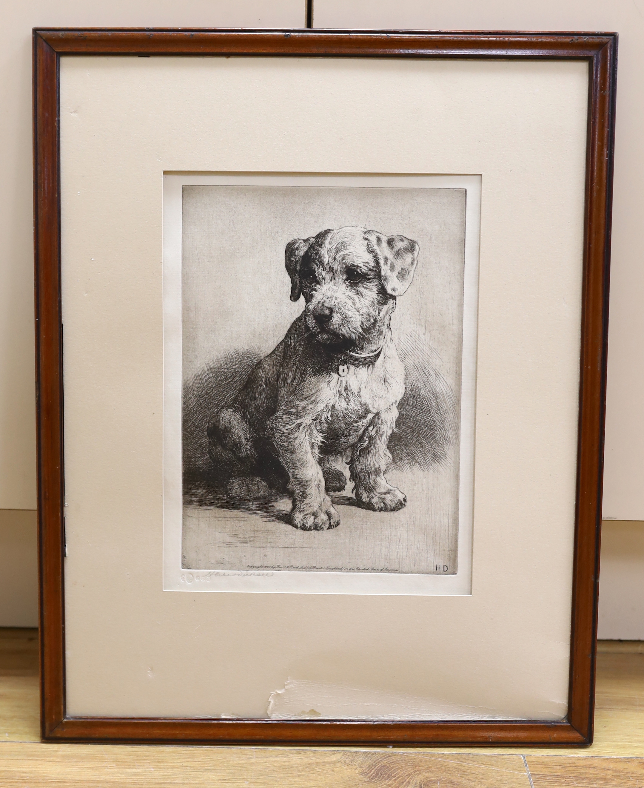 Herbert Dicksee (1862-1942), etching, 'A Sealyham Pup', signed in pencil, publ. 1923 by Frost & Reed Ltd, blindstamped, 30 x 22cm